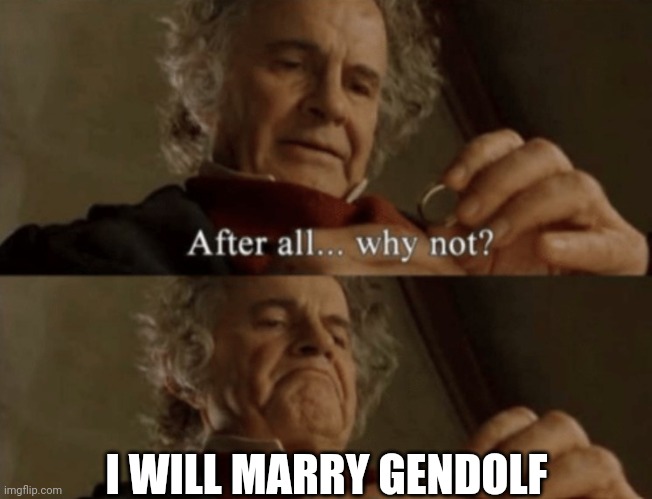 After all.. why not? | I WILL MARRY GENDOLF | image tagged in after all why not | made w/ Imgflip meme maker