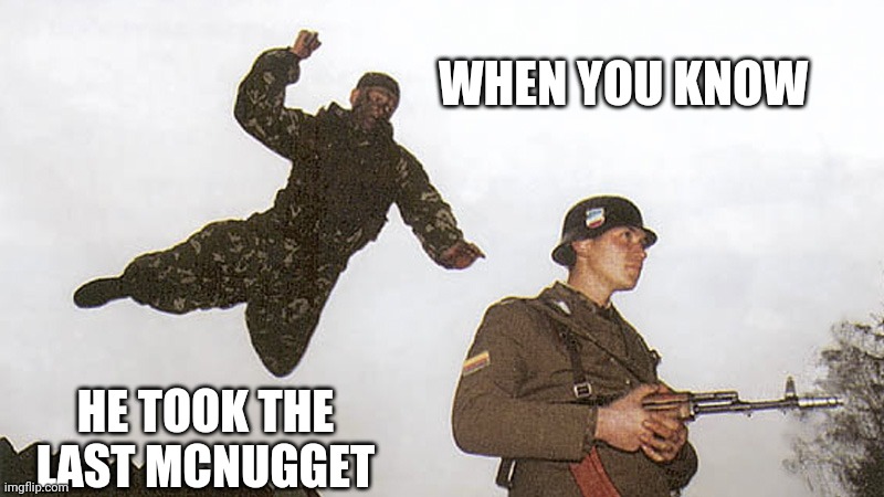 Soldier jump spetznaz | WHEN YOU KNOW; HE TOOK THE LAST MCNUGGET | image tagged in soldier jump spetznaz | made w/ Imgflip meme maker