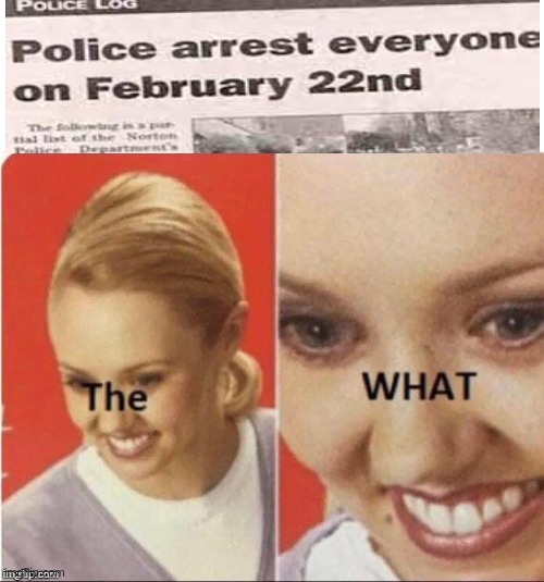 The What lady | image tagged in the what lady,hmmmmm | made w/ Imgflip meme maker