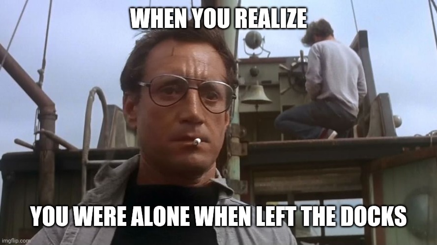 Going to need a bigger boat | WHEN YOU REALIZE; YOU WERE ALONE WHEN LEFT THE DOCKS | image tagged in going to need a bigger boat | made w/ Imgflip meme maker