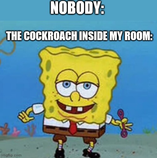 Spongebob no eyebrows | NOBODY:; THE COCKROACH INSIDE MY ROOM: | image tagged in spongebob no eyebrows | made w/ Imgflip meme maker
