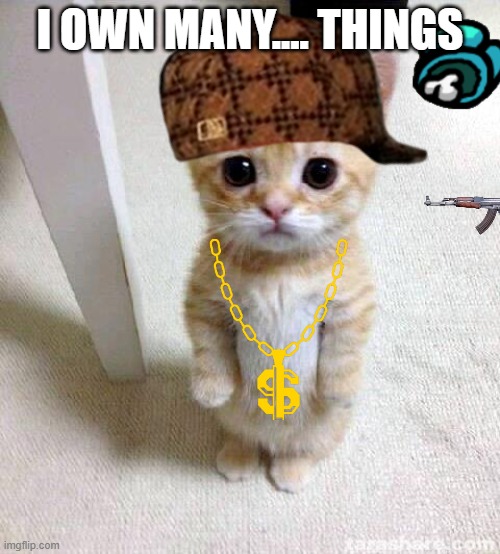 Cute Cat | I OWN MANY.... THINGS | image tagged in memes,cute cat | made w/ Imgflip meme maker