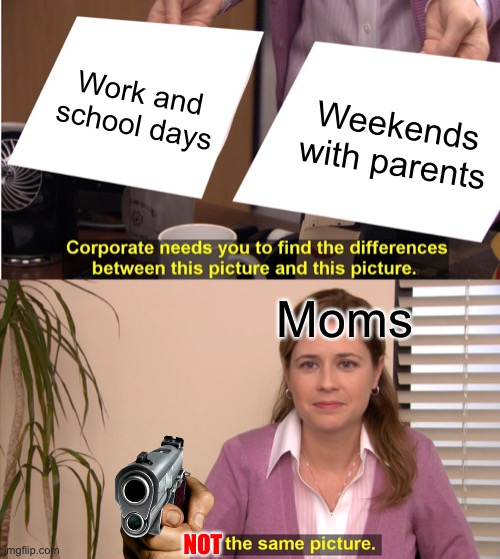True or false | Work and school days; Weekends with parents; Moms; NOT | image tagged in memes,they're the same picture | made w/ Imgflip meme maker