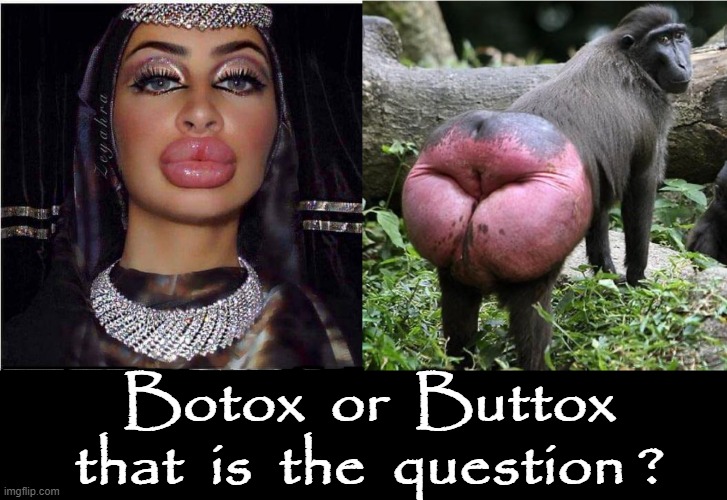 Botox or Buttox ? | Botox  or  Buttox
that  is  the  question ? | image tagged in that is the question | made w/ Imgflip meme maker