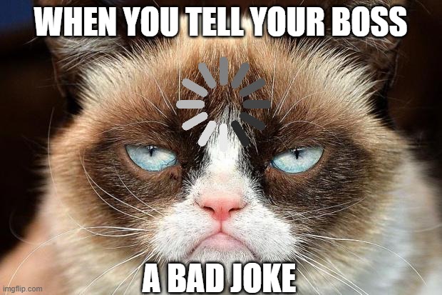 Meh | WHEN YOU TELL YOUR BOSS; A BAD JOKE | image tagged in memes,grumpy cat not amused,grumpy cat | made w/ Imgflip meme maker