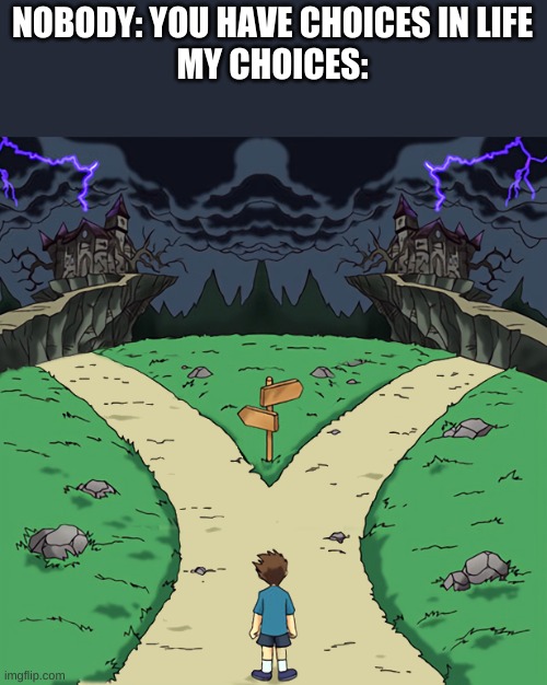 hmmm which one | NOBODY: YOU HAVE CHOICES IN LIFE
MY CHOICES: | image tagged in 2 path meme,fun,meme | made w/ Imgflip meme maker