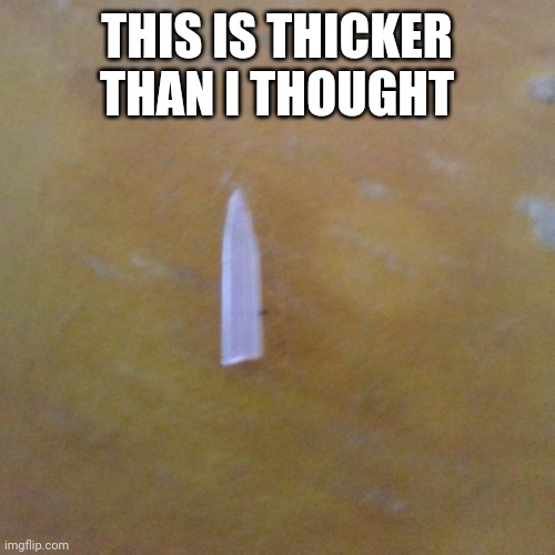 THIS IS THICKER THAN I THOUGHT | image tagged in hol up | made w/ Imgflip meme maker