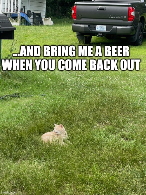 …AND BRING ME A BEER WHEN YOU COME BACK OUT | made w/ Imgflip meme maker