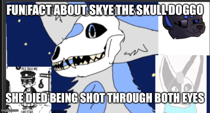 Yeah, she was just under her tree reading and hunter kills her | FUN FACT ABOUT SKYE THE SKULL DOGGO; SHE DIED BEING SHOT THROUGH BOTH EYES | image tagged in weebgirls template | made w/ Imgflip meme maker