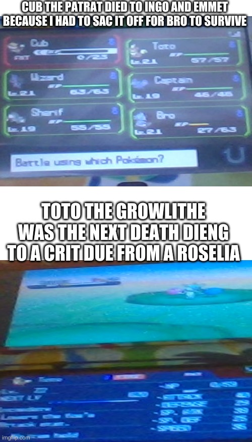 F in the chat for these to pokemon(Mainly for toto, patrat was death fodder) | CUB THE PATRAT DIED TO INGO AND EMMET BECAUSE I HAD TO SAC IT OFF FOR BRO TO SURVIVE; TOTO THE GROWLITHE WAS THE NEXT DEATH DIENG TO A CRIT DUE FROM A ROSELIA | image tagged in memes,blank transparent square | made w/ Imgflip meme maker