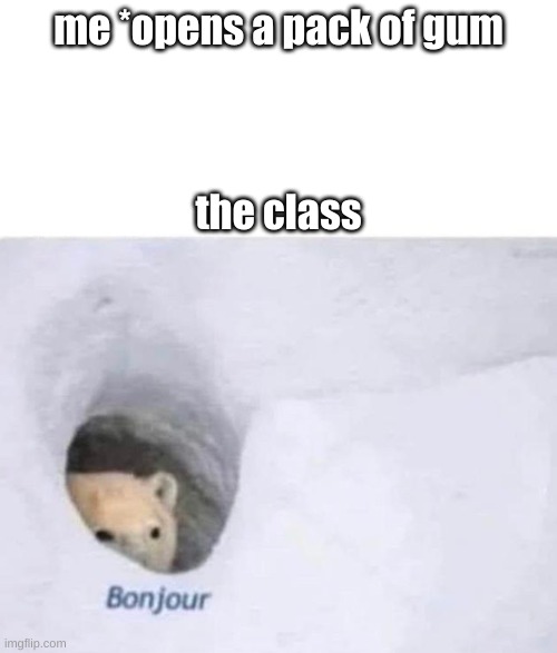 Bonjour | me *opens a pack of gum; the class | image tagged in bonjour,funny meme | made w/ Imgflip meme maker