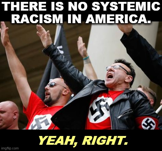 All Republicans are not racists, but all racists vote Republican. | THERE IS NO SYSTEMIC RACISM IN AMERICA. YEAH, RIGHT. | image tagged in neo-nazi,racists,republicans | made w/ Imgflip meme maker