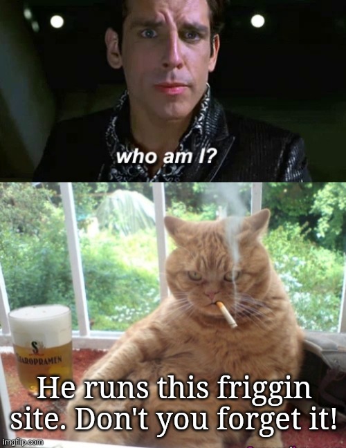 When people badmouth the OG memer! | He runs this friggin site. Don't you forget it! | image tagged in zoolander who am i,mob boss cat,who am i,is number one in the hood | made w/ Imgflip meme maker