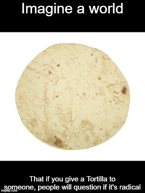 Food is food, not race | Imagine a world; That if you give a Tortilla to someone, people will question if it's radical | image tagged in tortilla,race | made w/ Imgflip meme maker