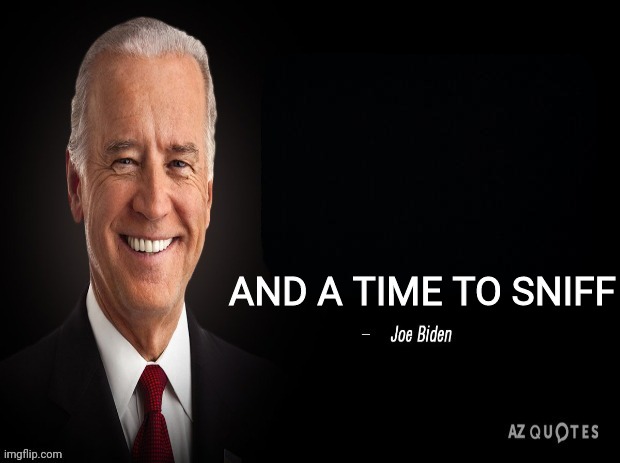 joe biden quote | AND A TIME TO SNIFF | image tagged in joe biden quote | made w/ Imgflip meme maker