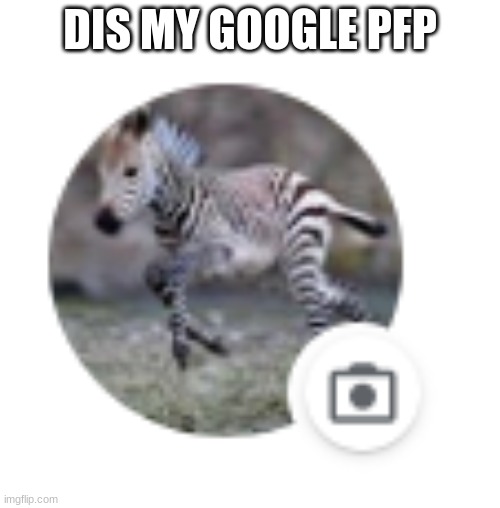 DIS MY GOOGLE PFP | made w/ Imgflip meme maker