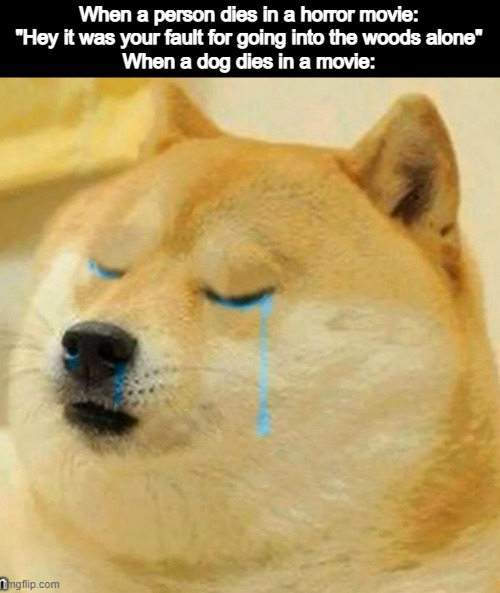 Sad | When a person dies in a horror movie: "Hey it was your fault for going into the woods alone"
When a dog dies in a movie: | image tagged in sad doge,memes,funny,sad | made w/ Imgflip meme maker