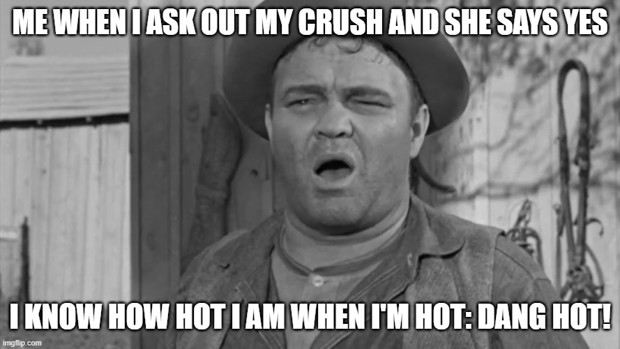 my crush | ME WHEN I ASK OUT MY CRUSH AND SHE SAYS YES; I KNOW HOW HOT I AM WHEN I'M HOT: DANG HOT! | image tagged in memes,funny | made w/ Imgflip meme maker