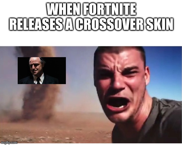 here it comes | WHEN FORTNITE RELEASES A CROSSOVER SKIN | image tagged in here it come meme,fortnite | made w/ Imgflip meme maker