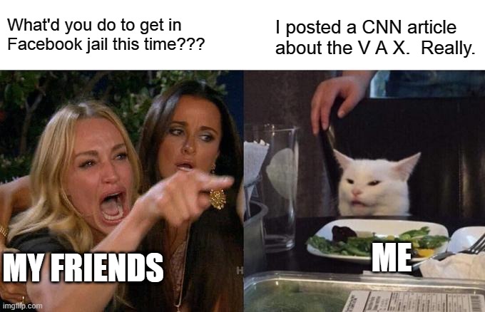 Woman Yelling At Cat Meme | What'd you do to get in Facebook jail this time??? I posted a CNN article about the V A X.  Really. ME; MY FRIENDS | image tagged in memes,woman yelling at cat | made w/ Imgflip meme maker