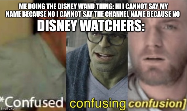 confused confusing confusion | ME DOING THE DISNEY WAND THING: HI I CANNOT SAY MY NAME BECAUSE NO I CANNOT SAY THE CHANNEL NAME BECAUSE NO; DISNEY WATCHERS: | image tagged in confused confusing confusion,no | made w/ Imgflip meme maker