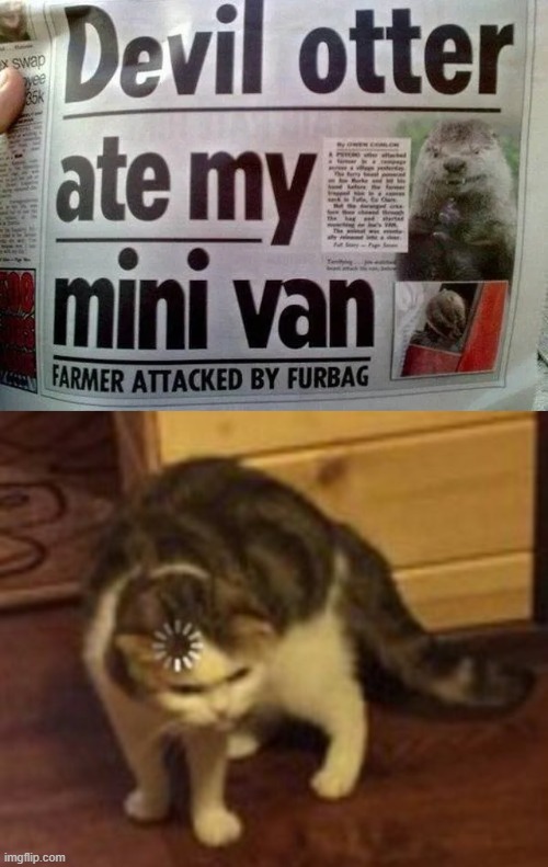 image tagged in loading cat | made w/ Imgflip meme maker