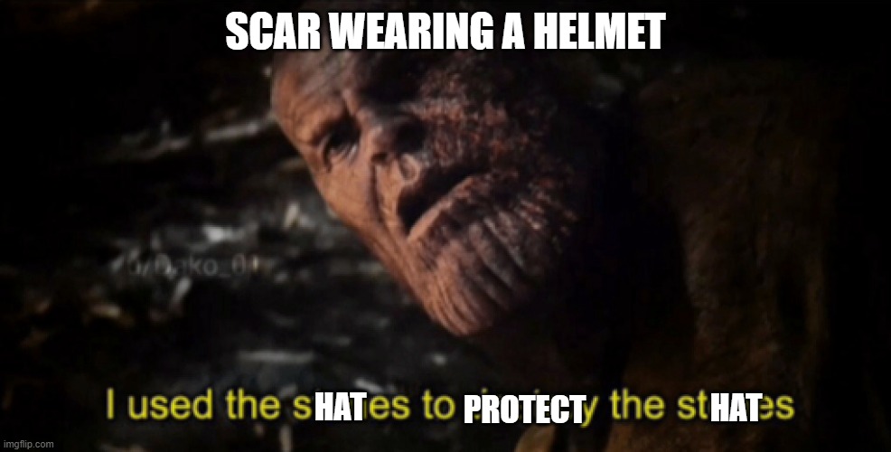 I used the stones to destroy the stones | SCAR WEARING A HELMET; HAT; HAT; PROTECT | image tagged in i used the stones to destroy the stones | made w/ Imgflip meme maker