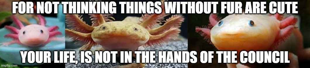 FOR NOT THINKING THINGS WITHOUT FUR ARE CUTE; YOUR LIFE, IS NOT IN THE HANDS OF THE COUNCIL | made w/ Imgflip meme maker