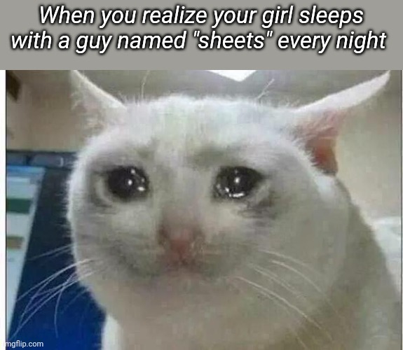 crying cat | When you realize your girl sleeps with a guy named "sheets" every night | image tagged in crying cat | made w/ Imgflip meme maker