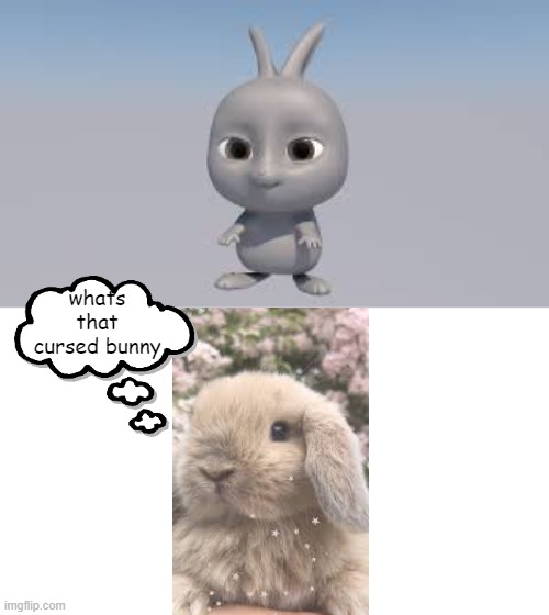 it look weird | whats that cursed bunny | made w/ Imgflip meme maker