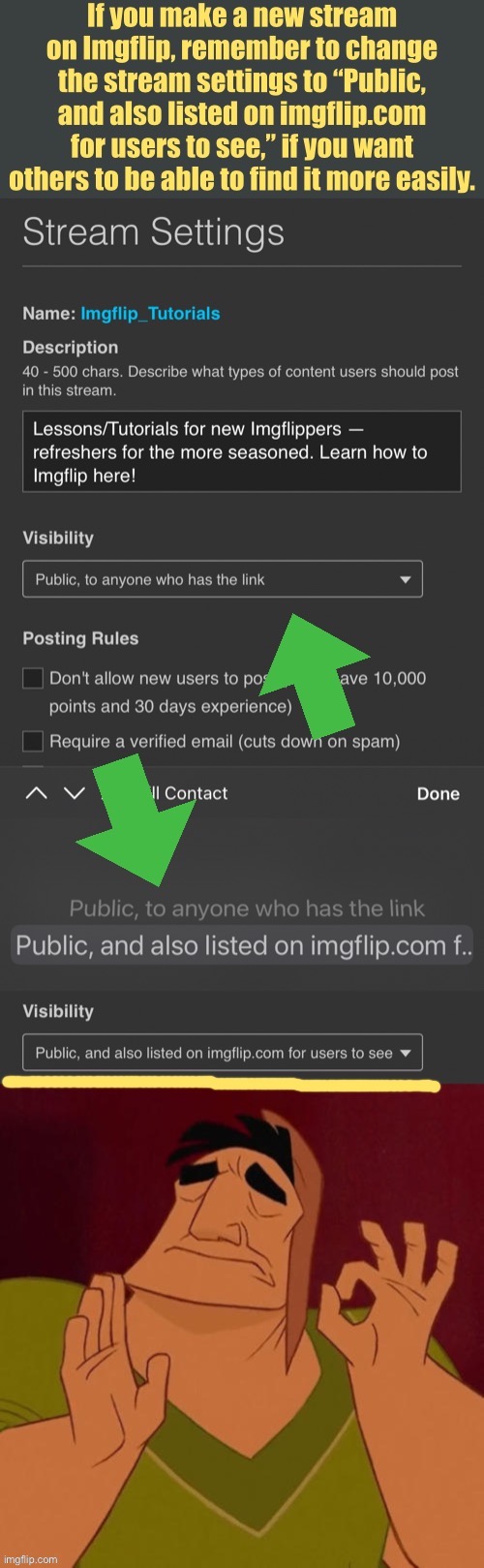 This will make your new stream visible under “more streams.” Easy one to forget. If you want your stream to be found, do it! | image tagged in stream settings listed on imgflip com for users to see,stream settings,settings,meme stream,imgflip,meme streams | made w/ Imgflip meme maker