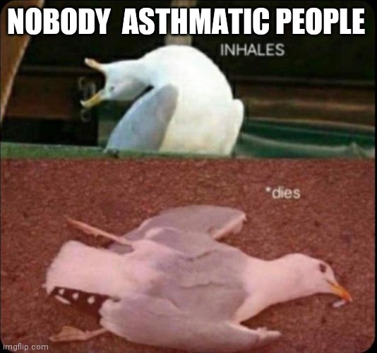 inhales dies bird | NOBODY  ASTHMATIC PEOPLE | image tagged in inhales dies bird | made w/ Imgflip meme maker