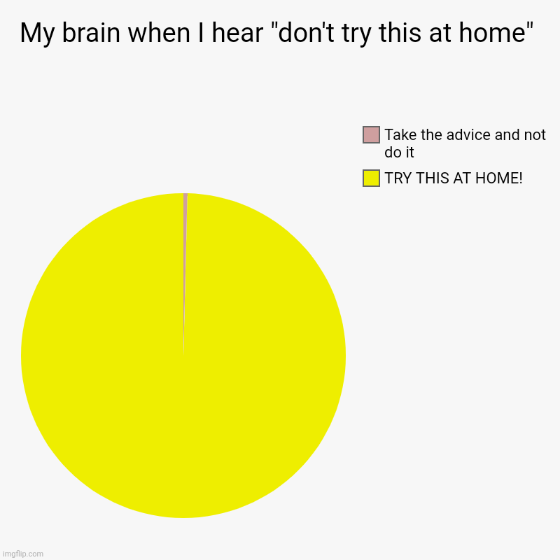My brain when I hear "don't try this at home" | TRY THIS AT HOME!, Take the advice and not do it | image tagged in charts,pie charts | made w/ Imgflip chart maker