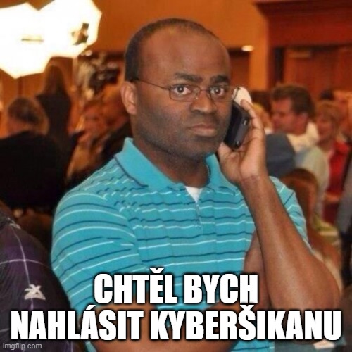 Calling the police | CHTĚL BYCH NAHLÁSIT KYBERŠIKANU | image tagged in calling the police | made w/ Imgflip meme maker