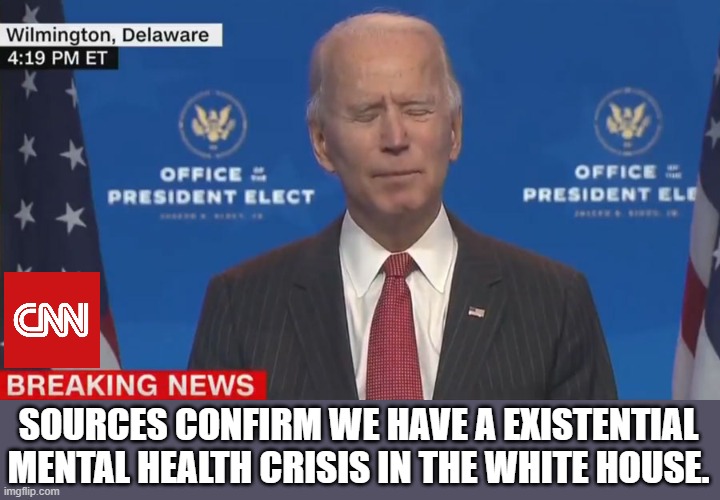 Yep | SOURCES CONFIRM WE HAVE A EXISTENTIAL MENTAL HEALTH CRISIS IN THE WHITE HOUSE. | image tagged in democrats,fascism | made w/ Imgflip meme maker