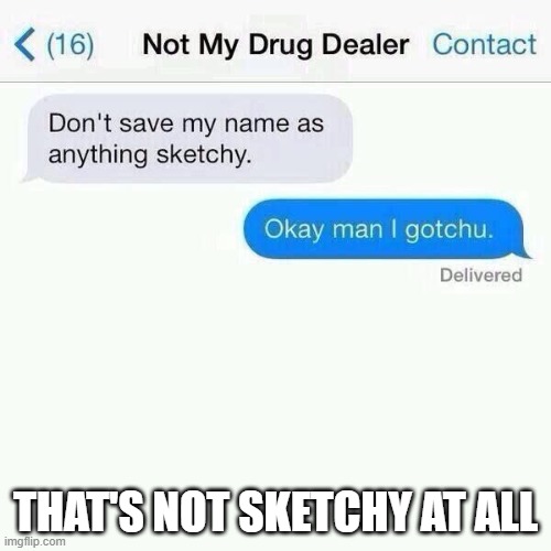 THAT'S NOT SKETCHY AT ALL | image tagged in not sketchy | made w/ Imgflip meme maker