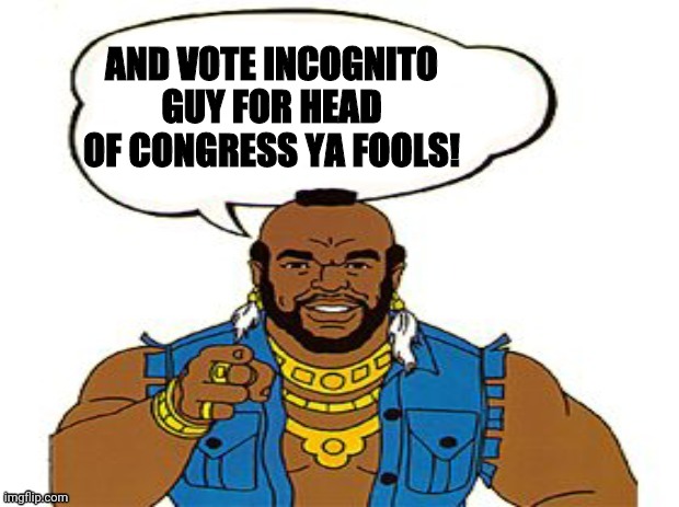 Mr.T | AND VOTE INCOGNITO GUY FOR HEAD OF CONGRESS YA FOOLS! | image tagged in mr t | made w/ Imgflip meme maker