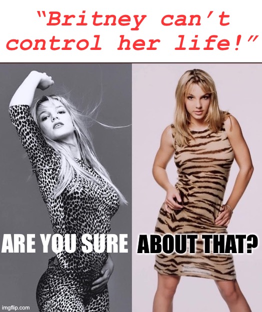 Does this look like someone who can’t manage her own life decisions? | “Britney can’t control her life!” | image tagged in britney spears are you sure about that | made w/ Imgflip meme maker