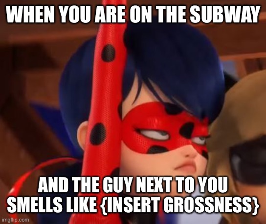 POV insert a word in the comments | WHEN YOU ARE ON THE SUBWAY; AND THE GUY NEXT TO YOU SMELLS LIKE {INSERT GROSSNESS} | image tagged in grumpy miraculous,memes | made w/ Imgflip meme maker