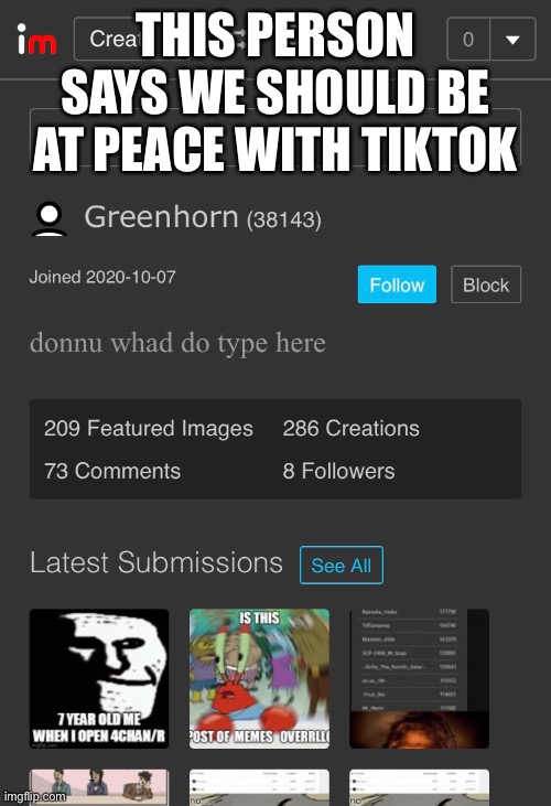Insert title here | THIS PERSON SAYS WE SHOULD BE AT PEACE WITH TIKTOK | made w/ Imgflip meme maker