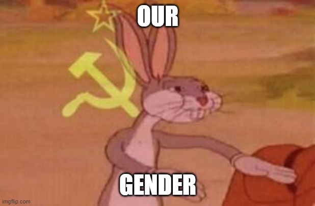 OUR GENDER | image tagged in our | made w/ Imgflip meme maker