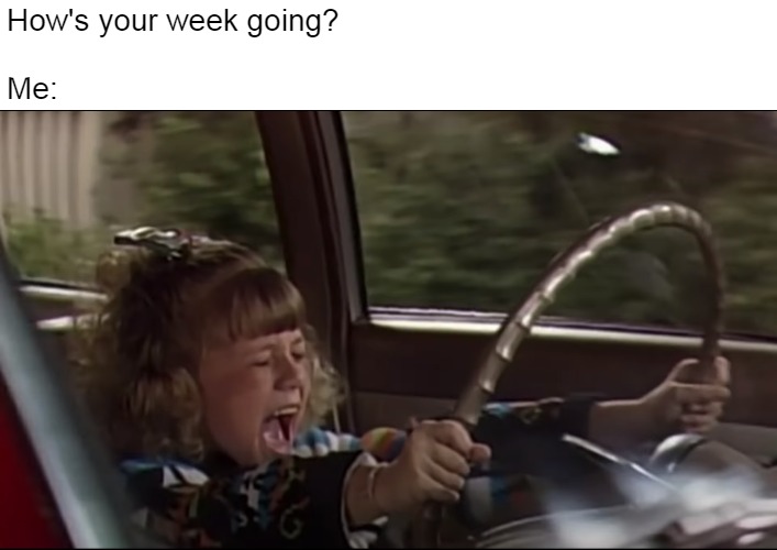 Stephanie Tanner Screaming Behind the Wheel | How's your week going?
 
Me: | image tagged in stephanie tanner screaming behind the wheel,memes,viral,meirl | made w/ Imgflip meme maker