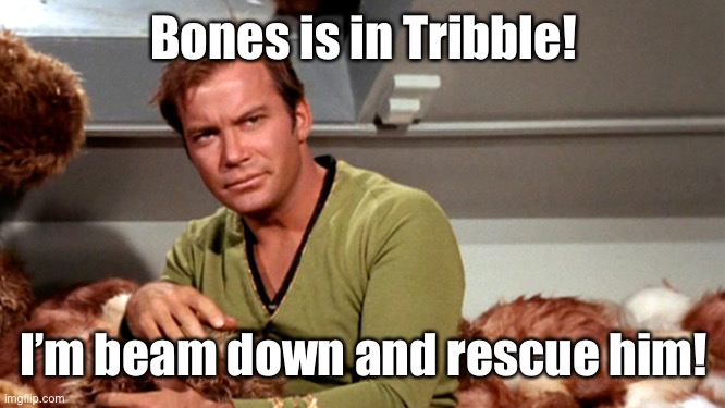 Kirk & Tribbles | Bones is in Tribble! I’m beam down and rescue him! | image tagged in kirk tribbles | made w/ Imgflip meme maker