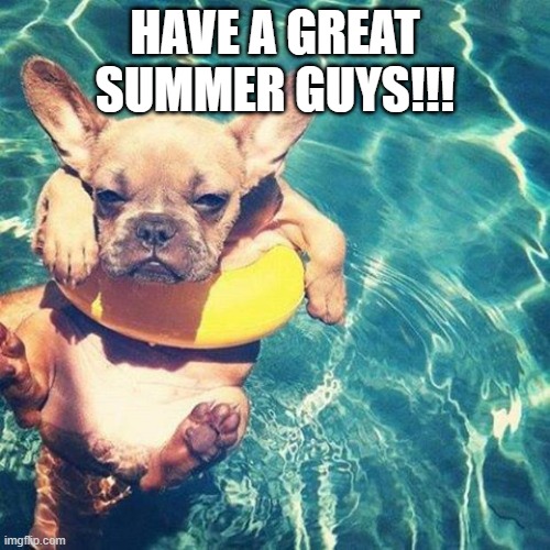 Summer! | HAVE A GREAT SUMMER GUYS!!! | image tagged in summer is here dog pug | made w/ Imgflip meme maker