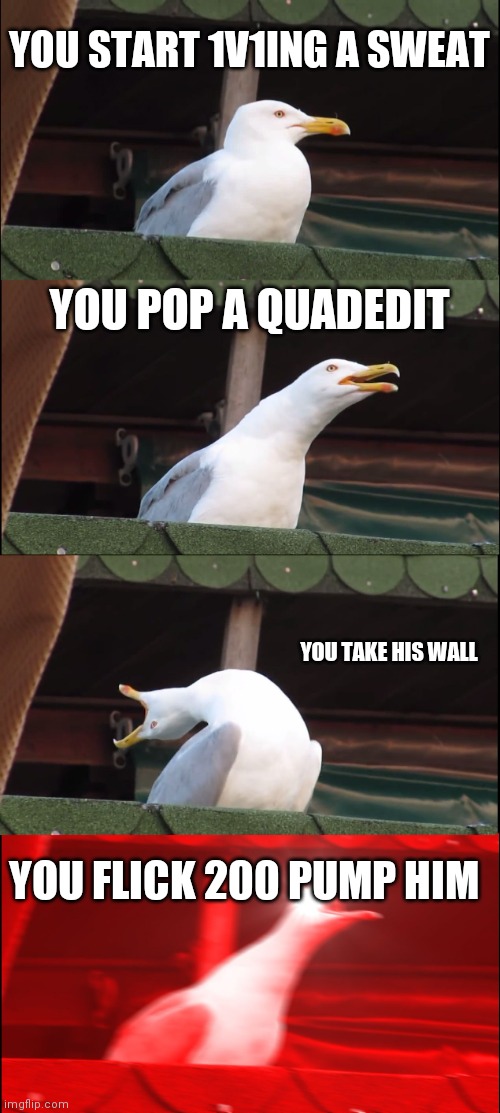 Inhaling Seagull | YOU START 1V1ING A SWEAT; YOU POP A QUADEDIT; YOU TAKE HIS WALL; YOU FLICK 200 PUMP HIM | image tagged in memes,inhaling seagull | made w/ Imgflip meme maker