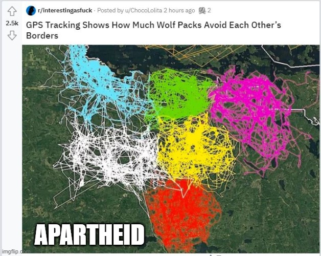 Apartheid |  APARTHEID | image tagged in south africa | made w/ Imgflip meme maker