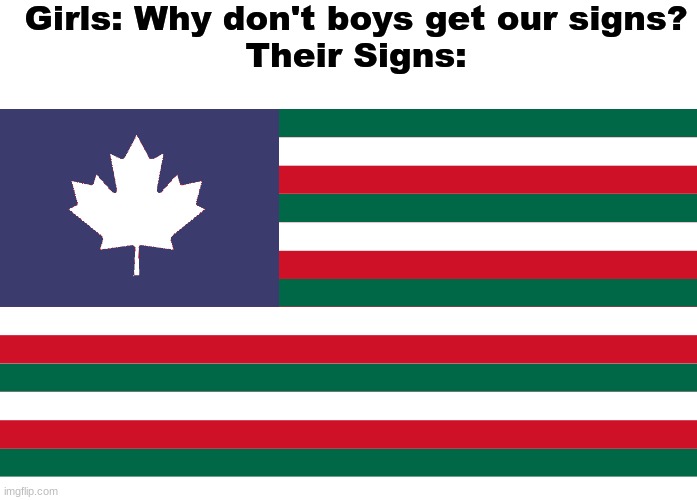 what kinda flag is that? | Girls: Why don't boys get our signs?
Their Signs: | image tagged in blank white template,girls vs boys,confusing flag,flags,memes | made w/ Imgflip meme maker