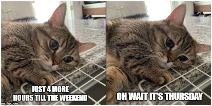 Oh Wait | OH WAIT IT'S THURSDAY; JUST 4 MORE HOURS TILL THE WEEKEND | image tagged in overthinking | made w/ Imgflip meme maker