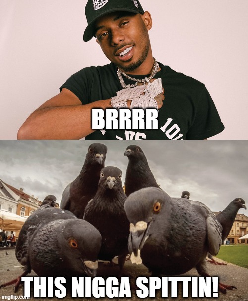 Pooh Shiesty wanna be a pigeon so bad | BRRRR; THIS NIGGA SPITTIN! | image tagged in pooh shiesty,back in blood,brrr,pigeons,meme | made w/ Imgflip meme maker