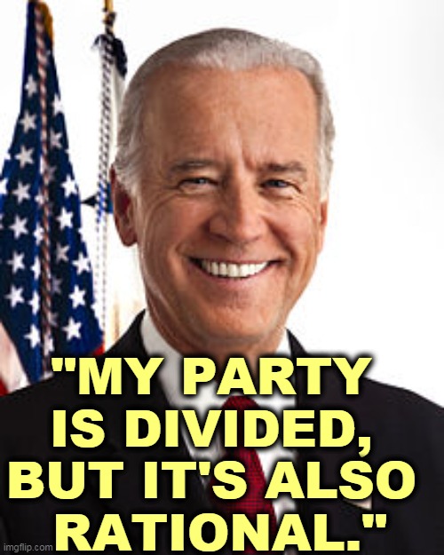Unlike some other crazy-a$$ parties we could name. | "MY PARTY 
IS DIVIDED, 
BUT IT'S ALSO 
RATIONAL." | image tagged in memes,joe biden,democrats,sanity,republicans,insane | made w/ Imgflip meme maker
